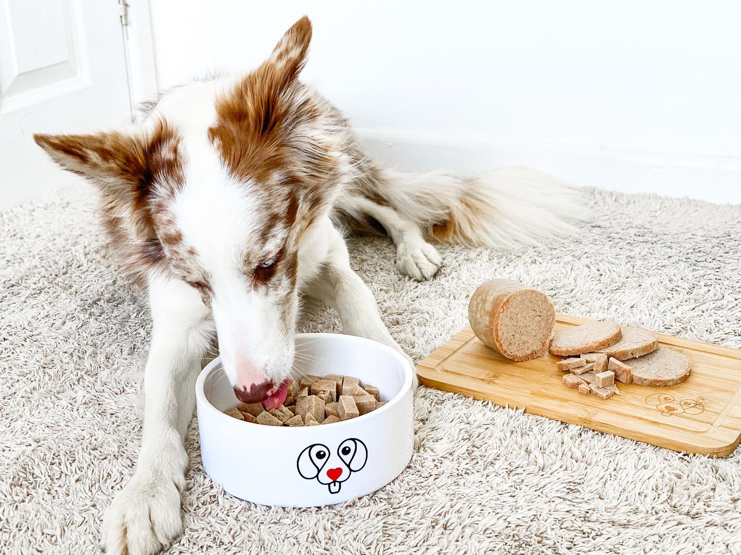 Prebiotics For Dogs: What Are they?
