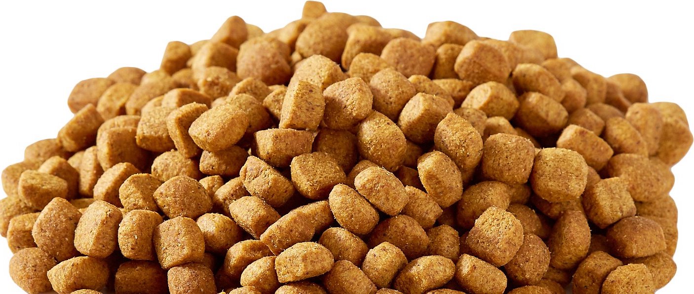 Convenience Of Kibble vs Healthy Fresh Dog Food