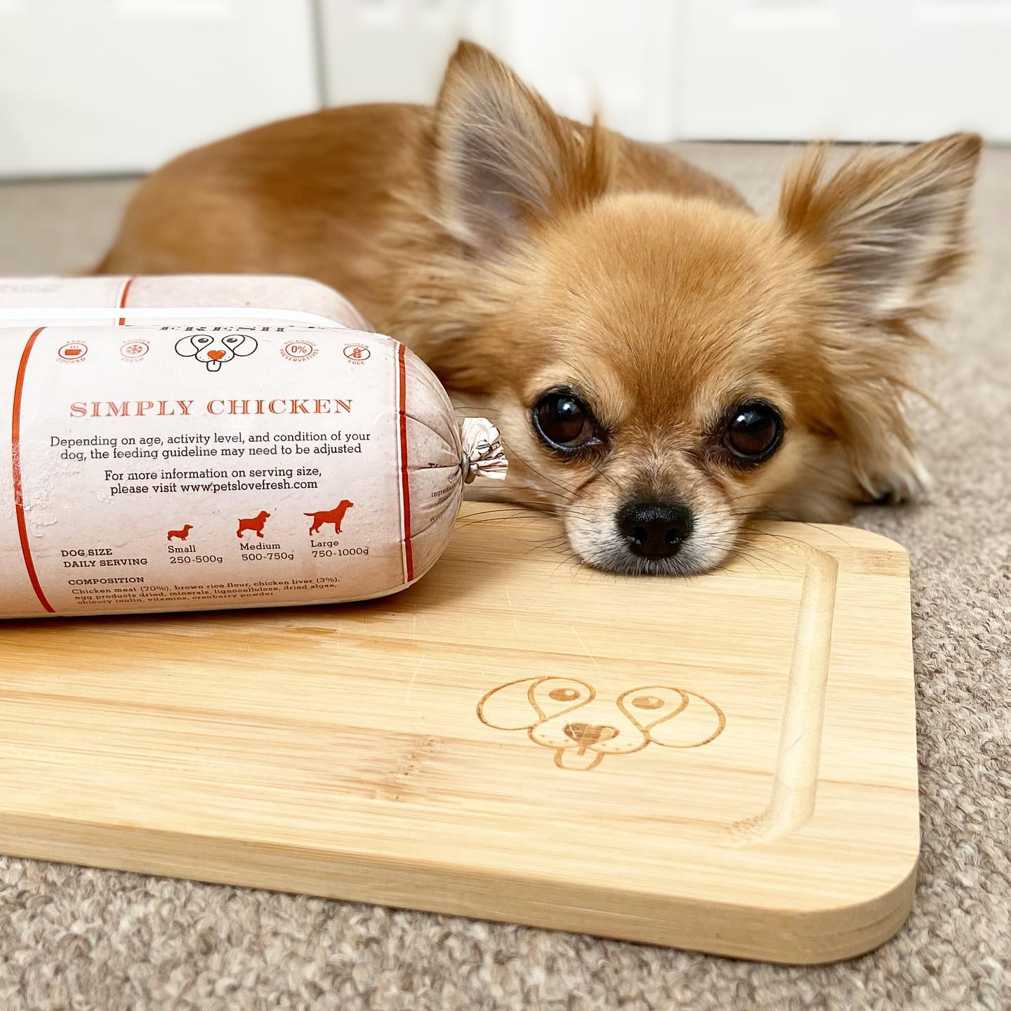 Leaky gut syndrome in dogs image