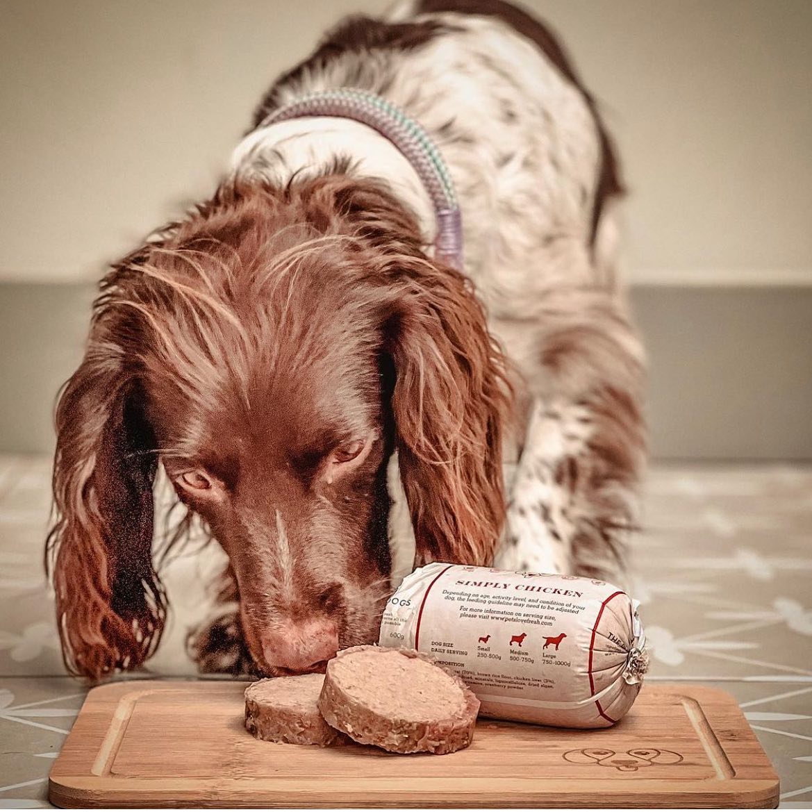 fresh dog food and gut health