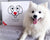 Make The Most Of Your Pets Love Fresh Subscription