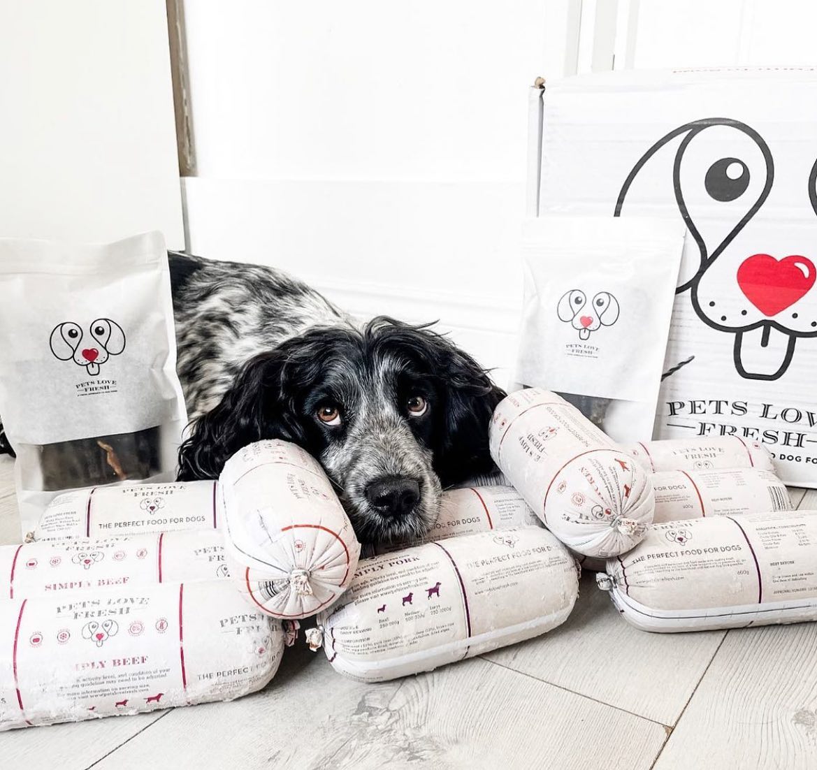 Can Dogs Eat Pork? The Dos And Don’ts