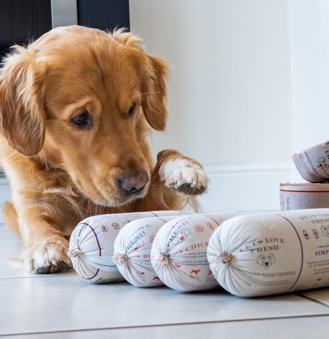 fresh dog food from pets love fresh for puppies