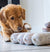 How Much To Feed Your Puppy & How Often