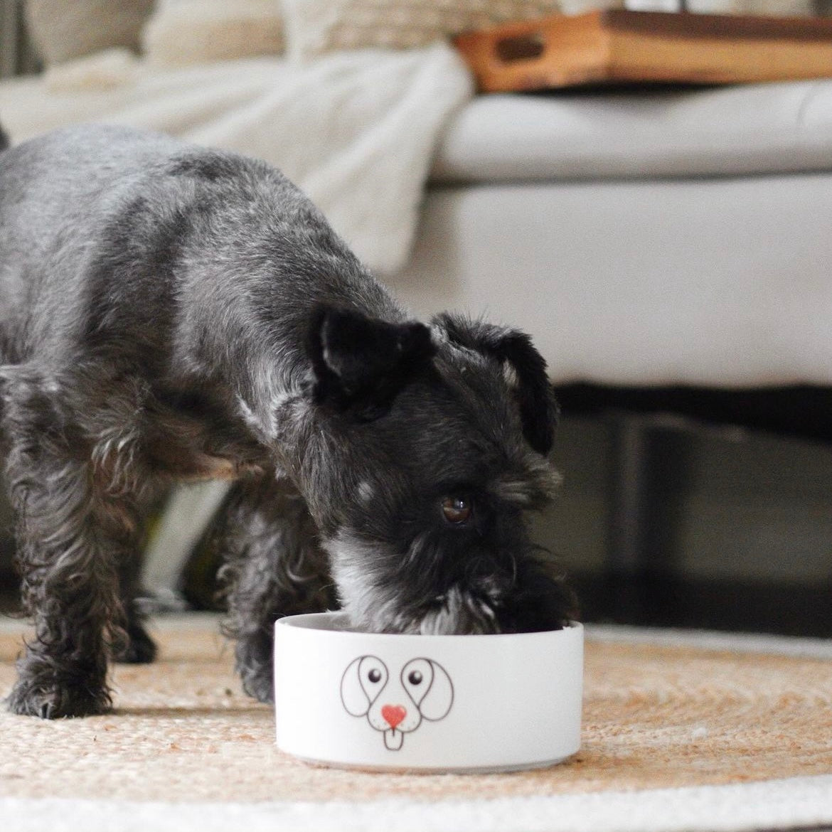 How to Keep Your Dog Calm During Fireworks Season