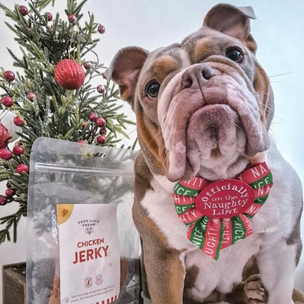 Fresh Dog Food