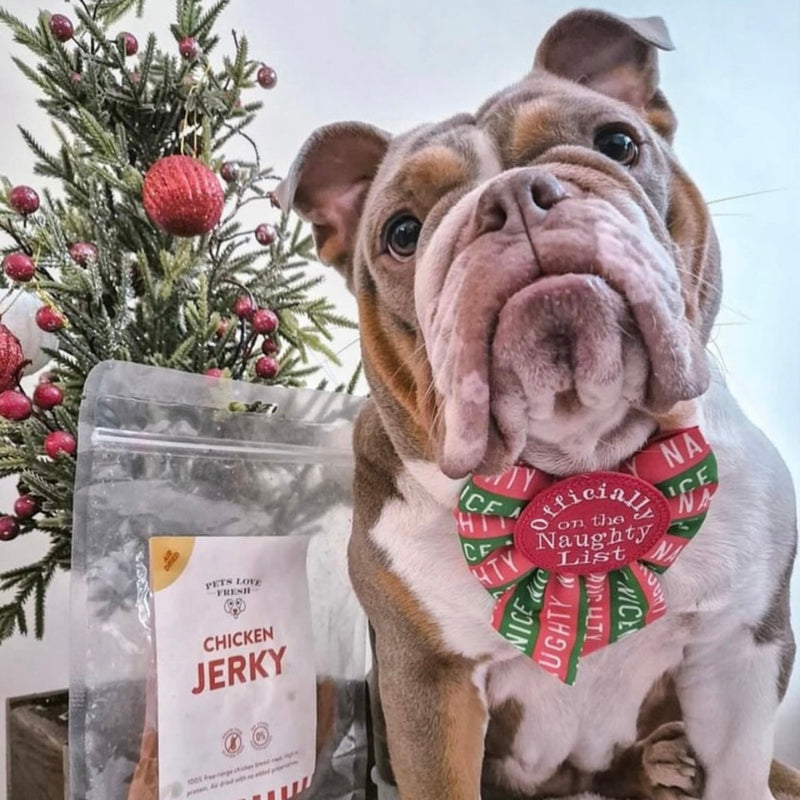 Fresh Dog Food