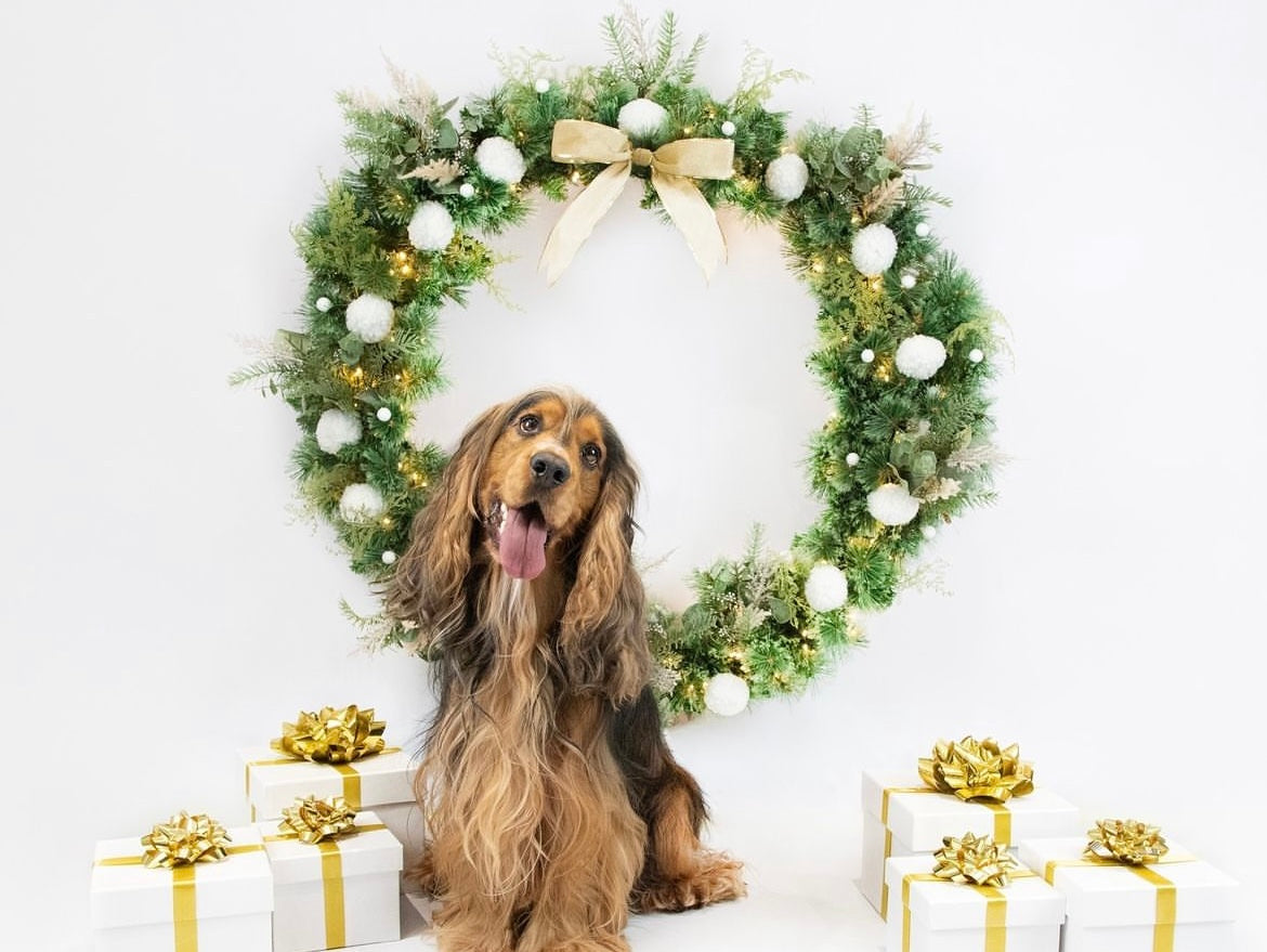 Christmas Dinner For Dogs: What They Can & Can't Eat