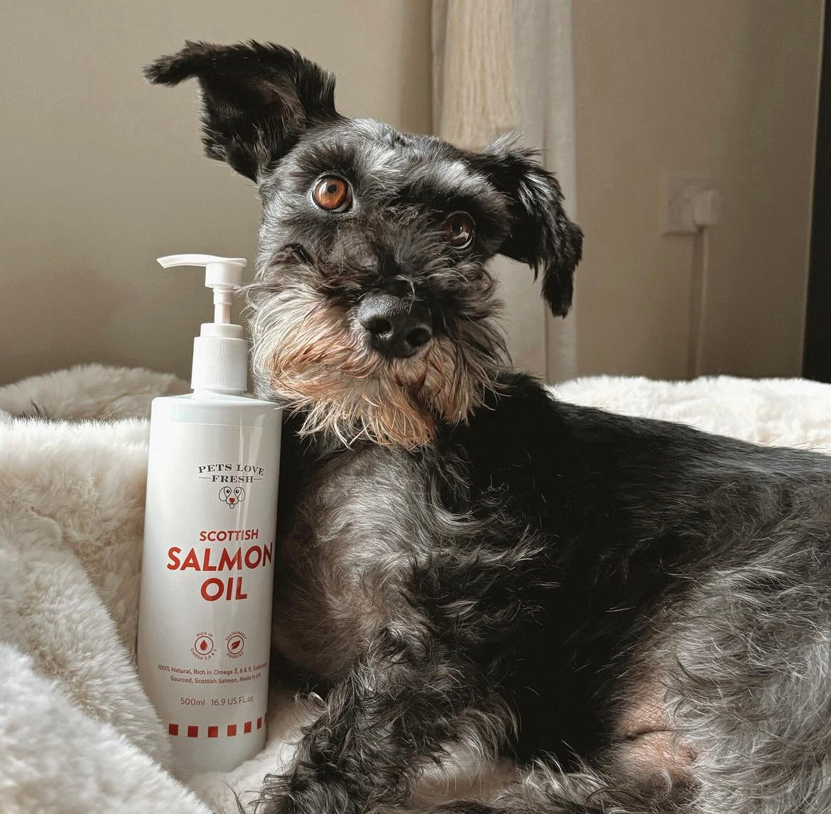 Salmon Oil For Dogs