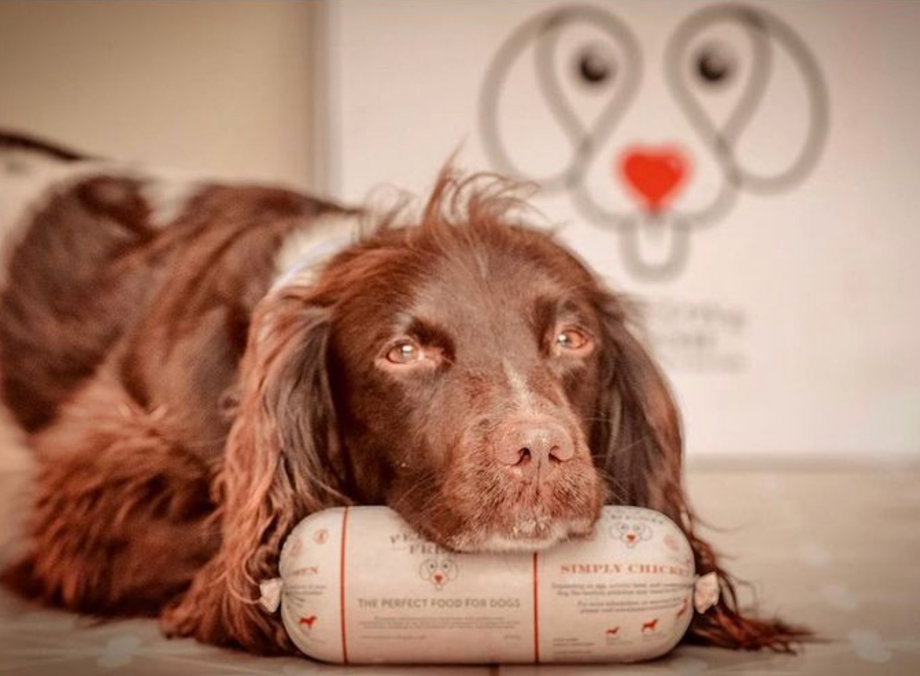 The Importance Of Fresh Dog Food