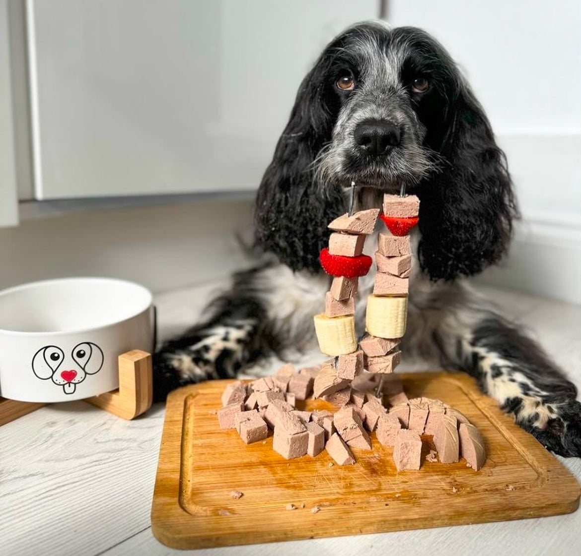 fresh dog food