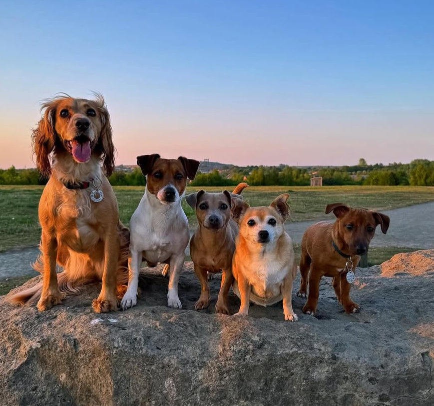 Mental Health Awareness Week - There is Power In Community