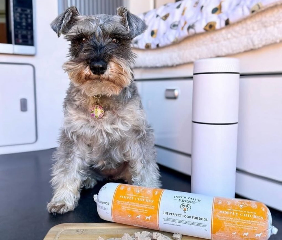 dog food storage