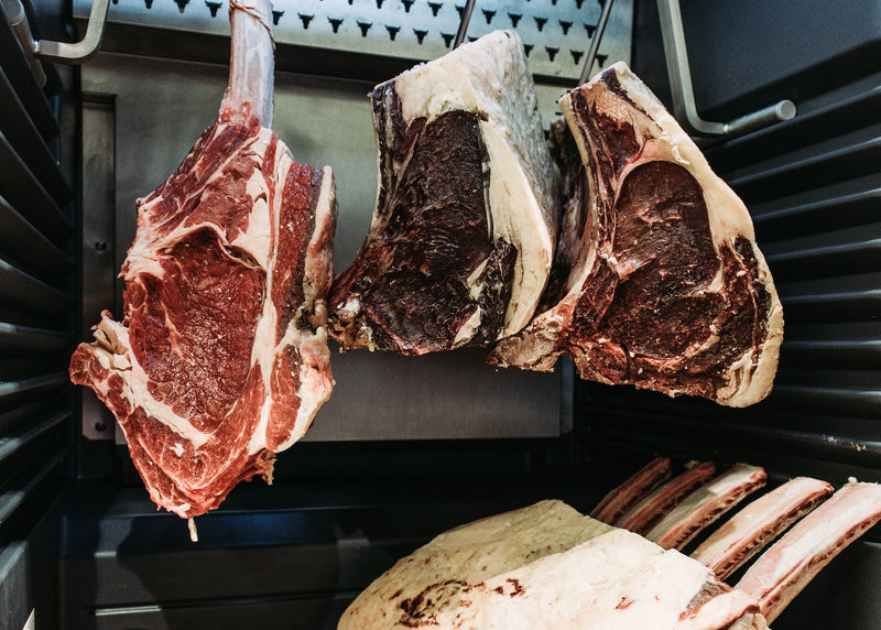 Raw or Cooked: Can Dogs Eat Beef?