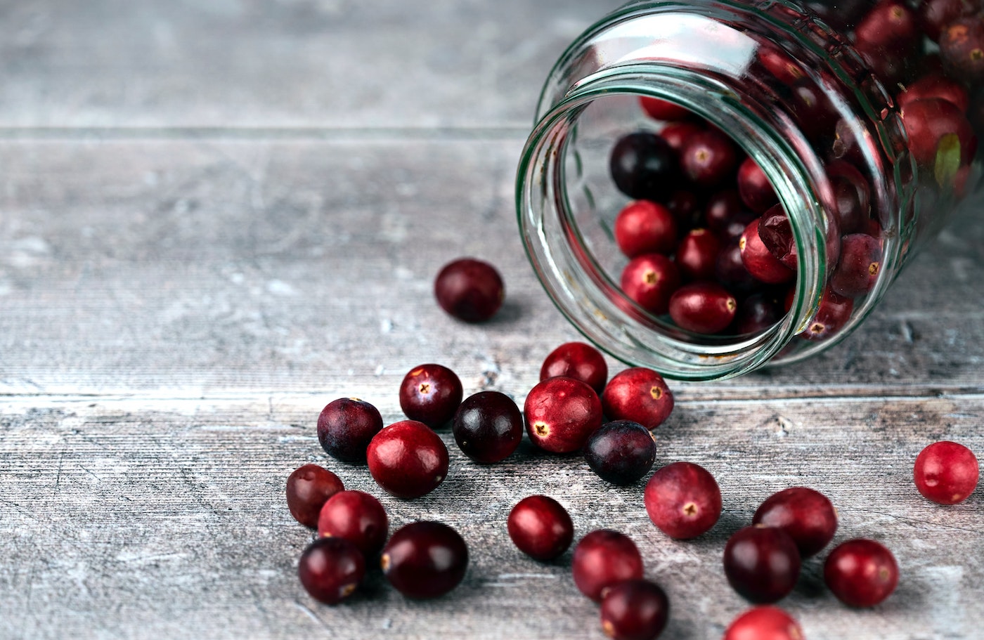 Can Dogs Eat Cranberries?