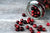 Can Dogs Eat Cranberries?