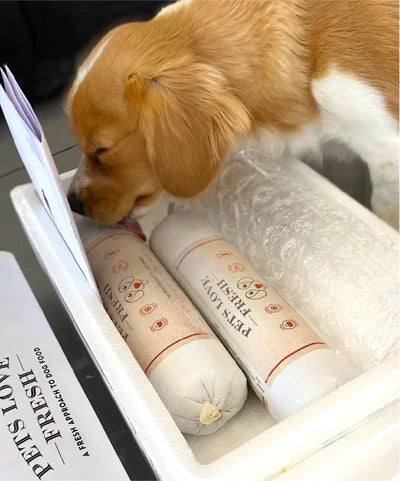 What is Hypoallergenic Dog Food?