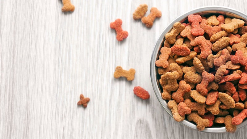 The Pet Food Industry Today