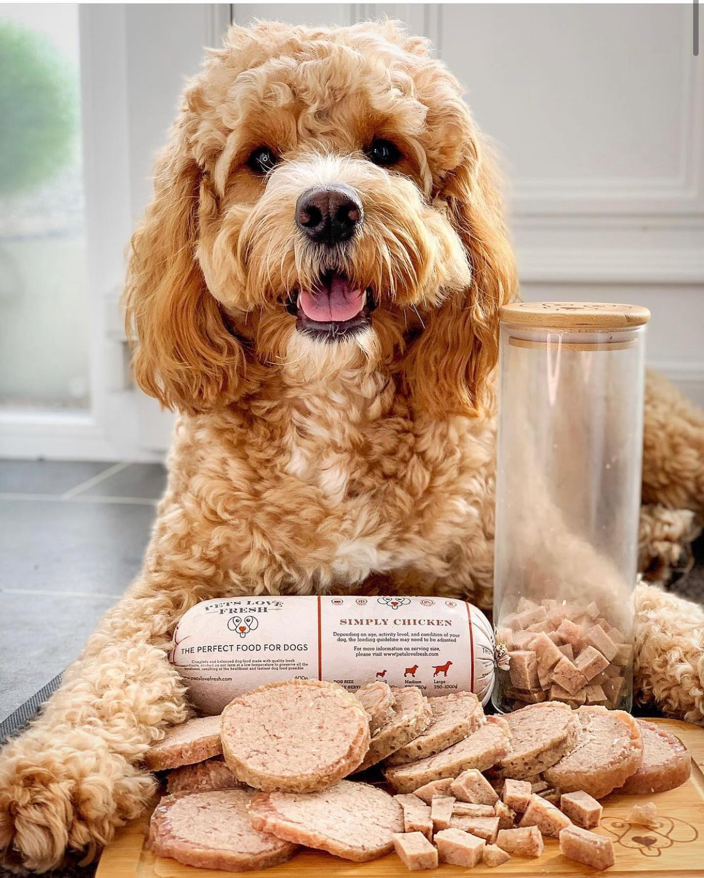 Earn Chub Change Dog Food Rewards Pets Love Fresh