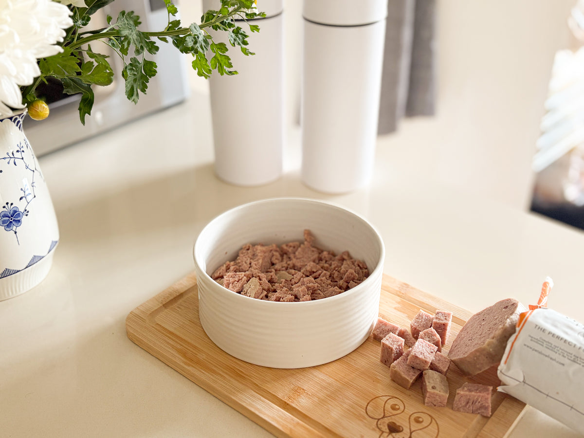 Fresh Dog Food
