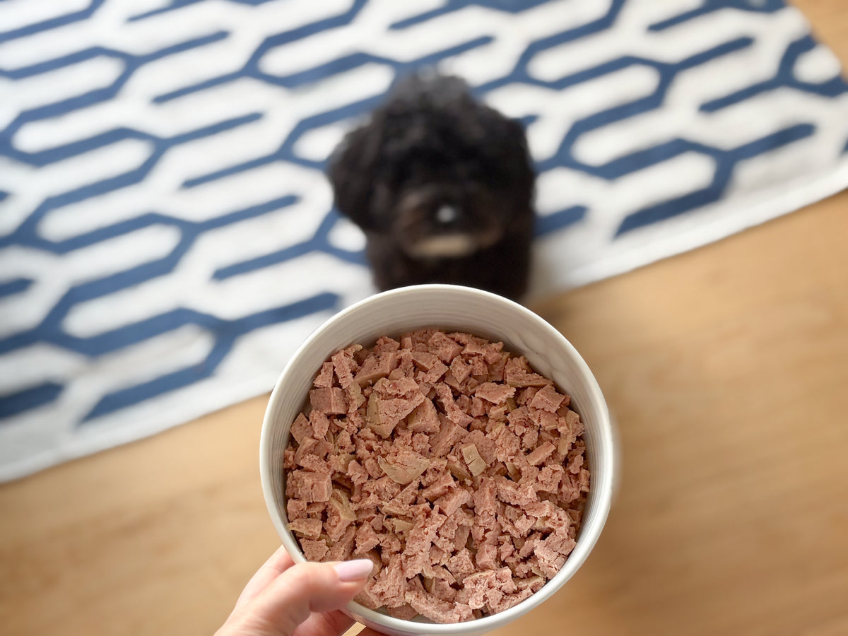 Fresh Dog Food
