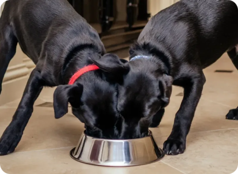 About Philosophy Taste