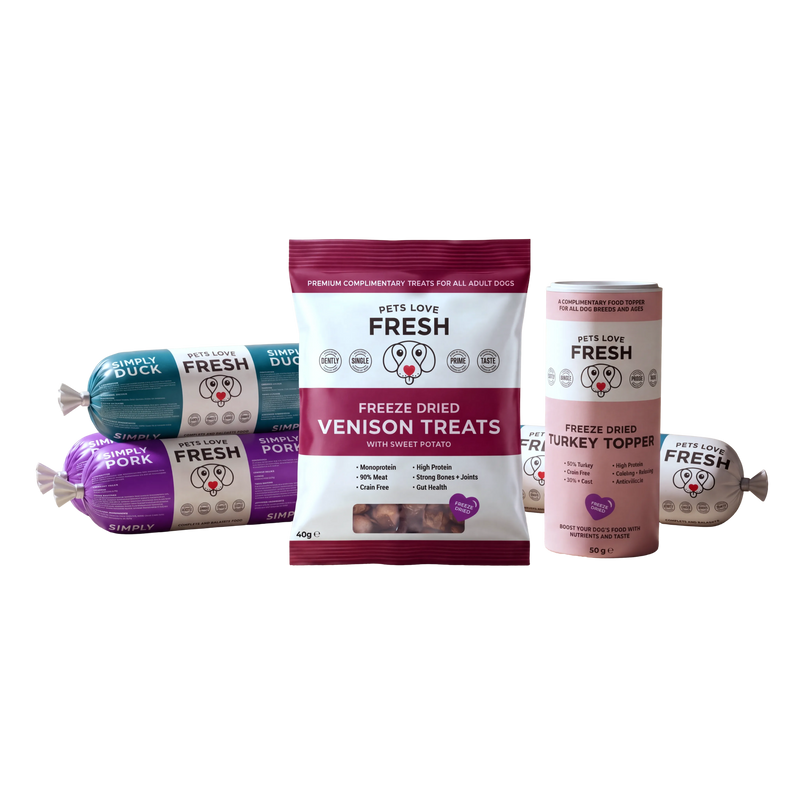 Gut Health & Digestion Bundle