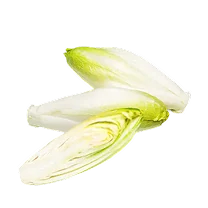 Chicory