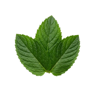 Peppermint