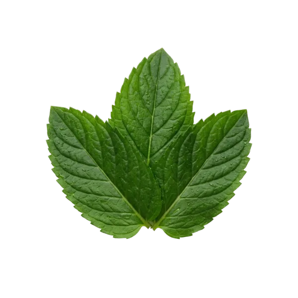Peppermint