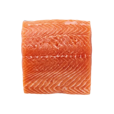 Salmon