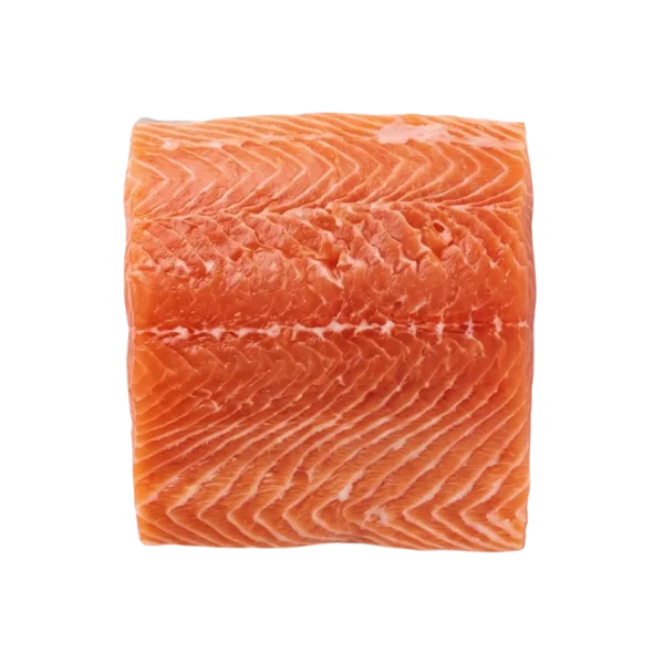 Salmon