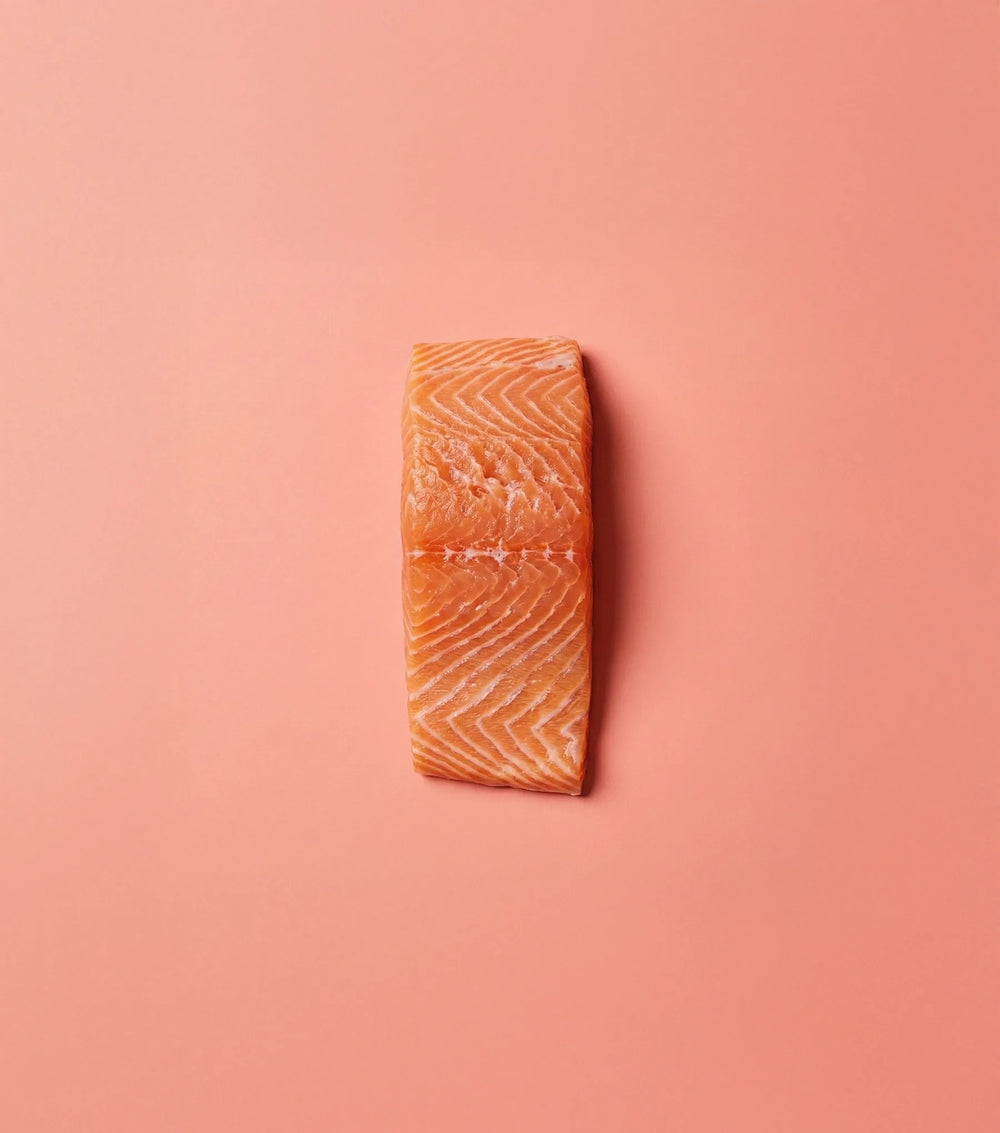 Simply Salmon Recipes