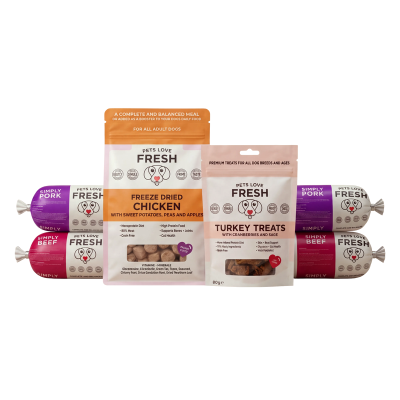 Protein Boost Bundle